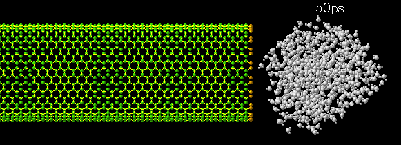 Carbon Nanotube